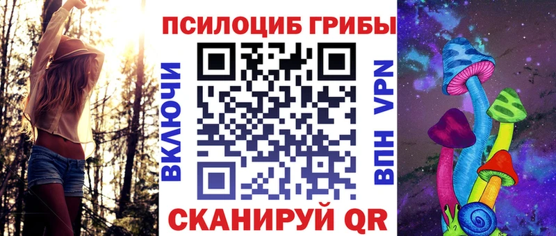 Псилоцибиновые грибы Psilocybe  Купить где  Фролово 